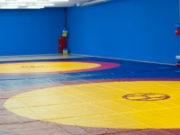 Wrestling is out of the 2020 Games but already fighting to get back in.